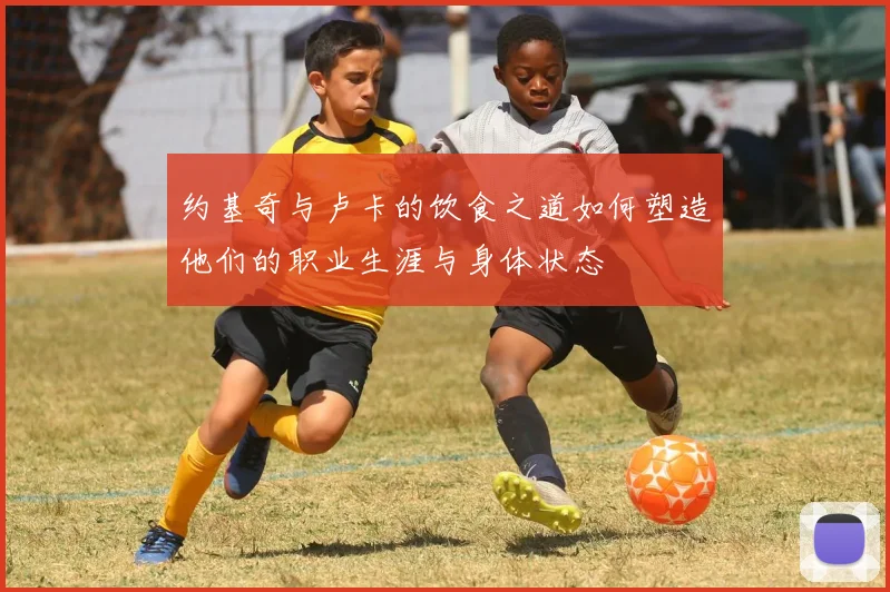 约基奇与卢卡的饮食之道如何塑造他们的职业生涯与身体状态