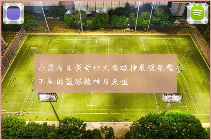 小黑与东契奇的火花碰撞展现桀骜不驯的篮球精神与友谊