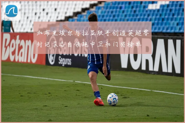 加布里埃尔与拉亚联手创造英超零封记录各自领跑中卫和门将榜单