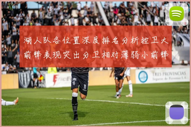 湖人队各位置深度排名分析控卫大前锋表现突出分卫相对薄弱小前锋与中锋处于中游水平