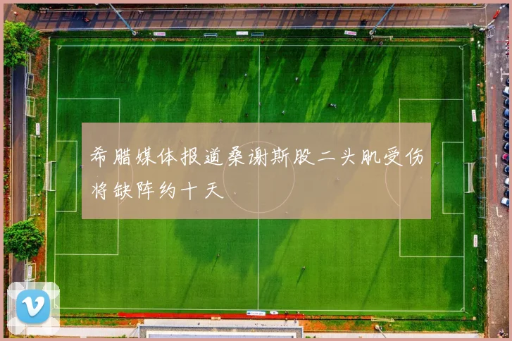 希腊媒体报道桑谢斯股二头肌受伤将缺阵约十天