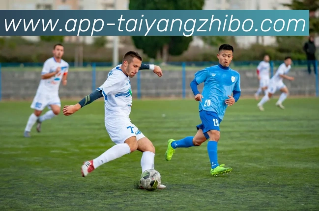 太阳城发展历程